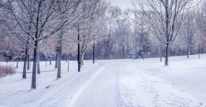 Na Slovensko sa opäť vracia zima: Chladné počasie ku nám opäť dorazí už v tento deň