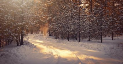 Najnovšia predpoveď na zimu 2023/2024 mnohých prekvapila. Meteorológovia hovoria jasne, Slováci sa nepotešia