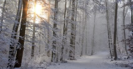 V hre sú výrazné mrazy a husté sneženie. Meteorológovia zverejnili ďalšiu predpoveď na zimu 2023/2024