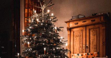 Viete, kedy by ste mali kúpiť vianočný stromček? Odborníci majú pre všetkých dôležitú radu