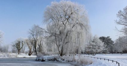 Na Slovensko sa blíži sneženie: Pozrite si prehľad, kde môžete očakávať najväčšiu snehovú nádielku